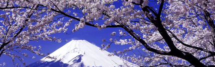 四季旅行春夏秋冬.jpg